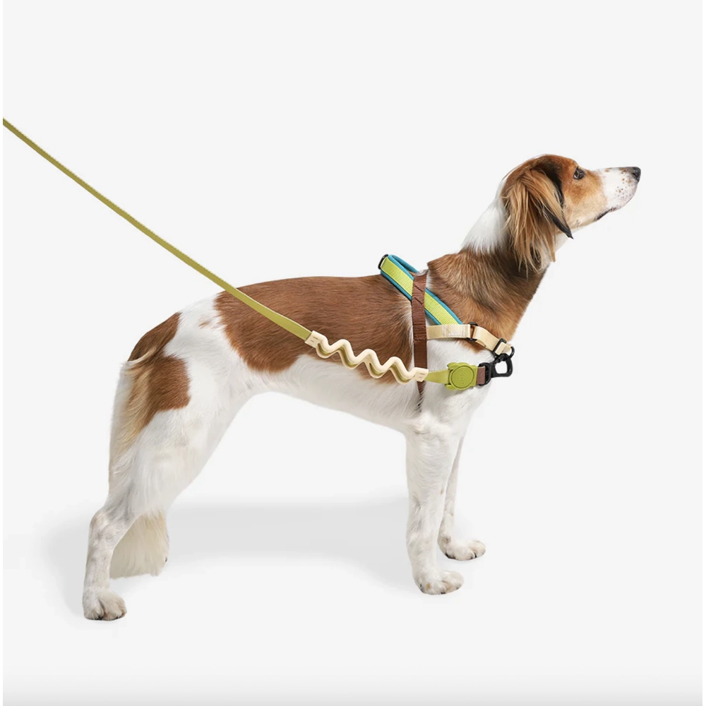 Zee.Dog Avocado SofterWalk Harness  - фото 2