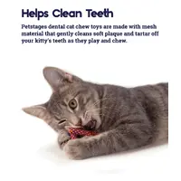 Petstages Catnip Plaque Away Pretzel  - фото 3