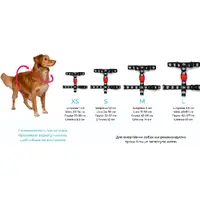 Zee.Dog Pacco H-Harness  - фото 4