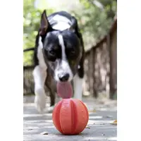 Dexas Off Leash Reaction Ball  - фото 6