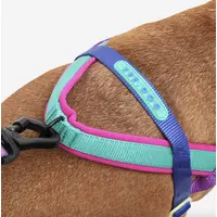 Zee.Dog Shockwave SofterWalk Harness  - фото 2