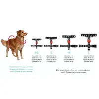 Zee.Dog Atlanta H-Harness  - фото 2