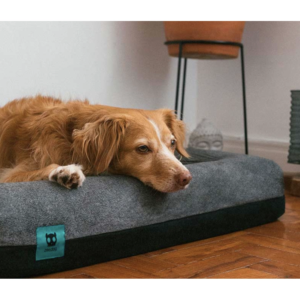 Zee.Dog Zee.Bed Skull  - фото 4