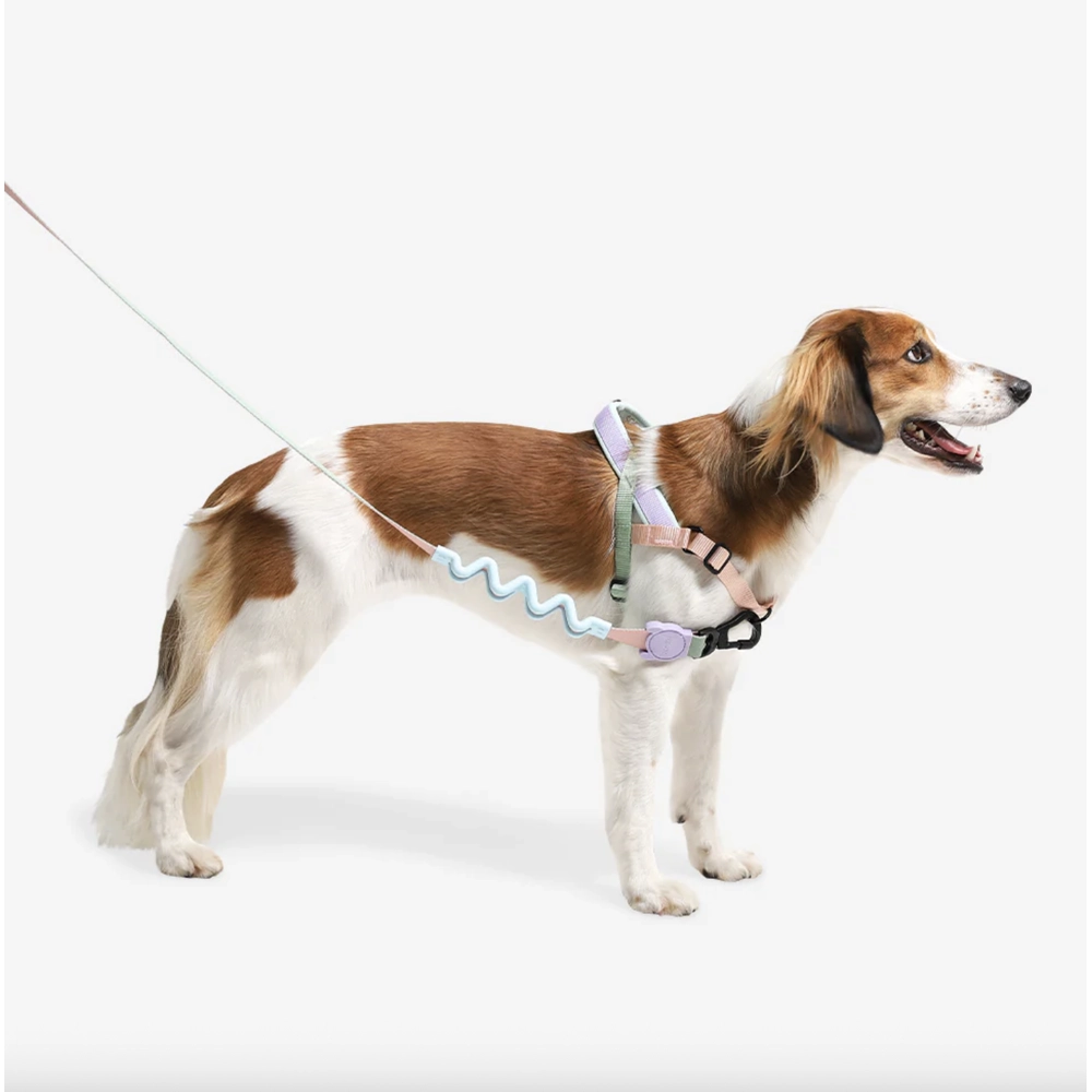 Zee.Dog Peach SofterWalk Harness  - фото 2