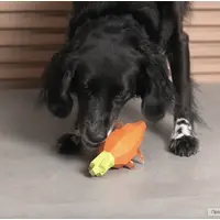 Zee.Dog Super Veggiez Carrot  - фото 4