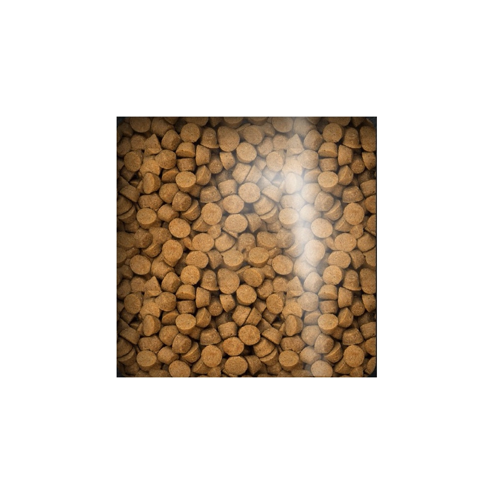 Oven-Baked Tradition Puppy с ягненком  - фото 2