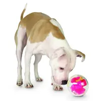 Planet Dog Mazee  - фото 4