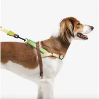 Zee.Dog Avocado SofterWalk Harness  - фото 4