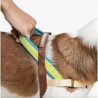 Zee.Dog Avocado SofterWalk Harness  - фото 3