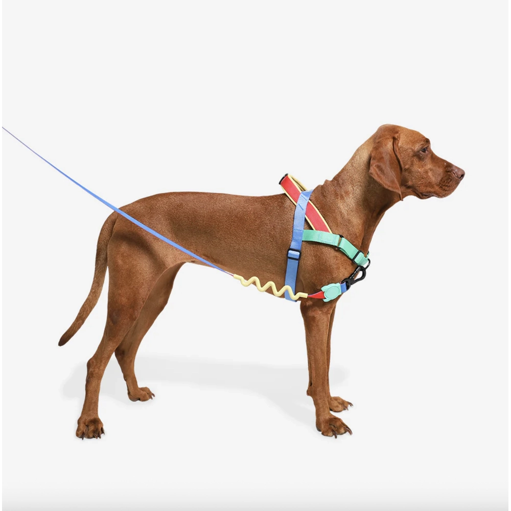 Zee.Dog Mellow SofterWalk Harness  - фото 2