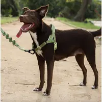 Zee.Dog Moss SofterWalk Harness  - фото 2