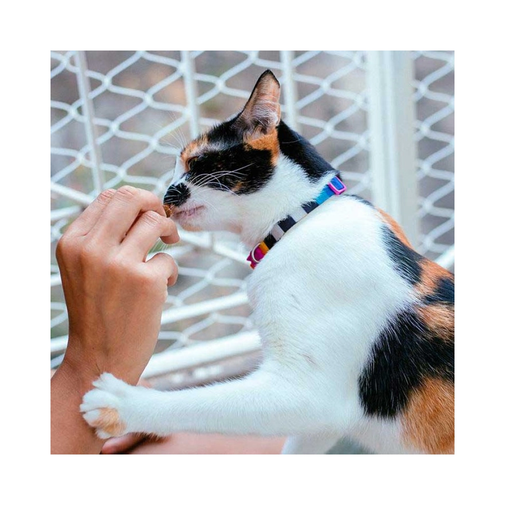 Zee.Dog Prisma Cat Collar   - фото 2