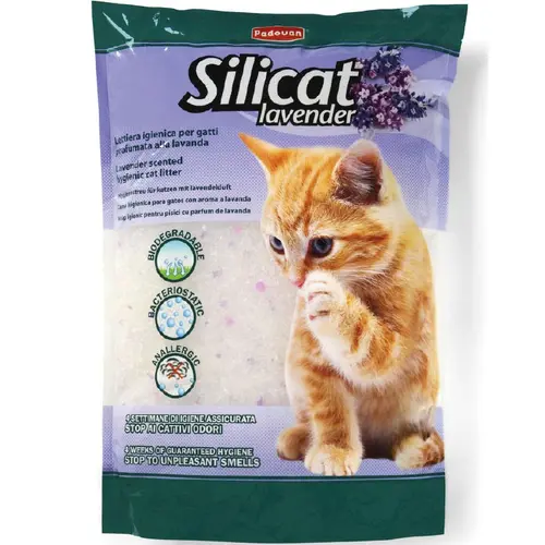 Padovan Silicat Lavender