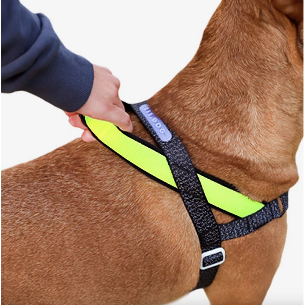 Zee.Dog Nox SofterWalk Harness  - фото 2