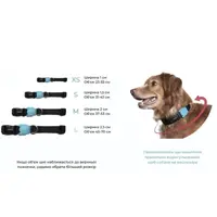 Zee.Dog Lords Brain Collar  - фото 2