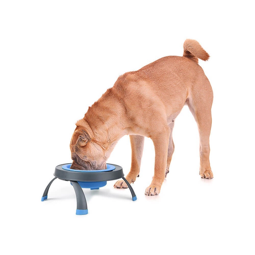 Dexas Single Elevated Feeder  - фото 9