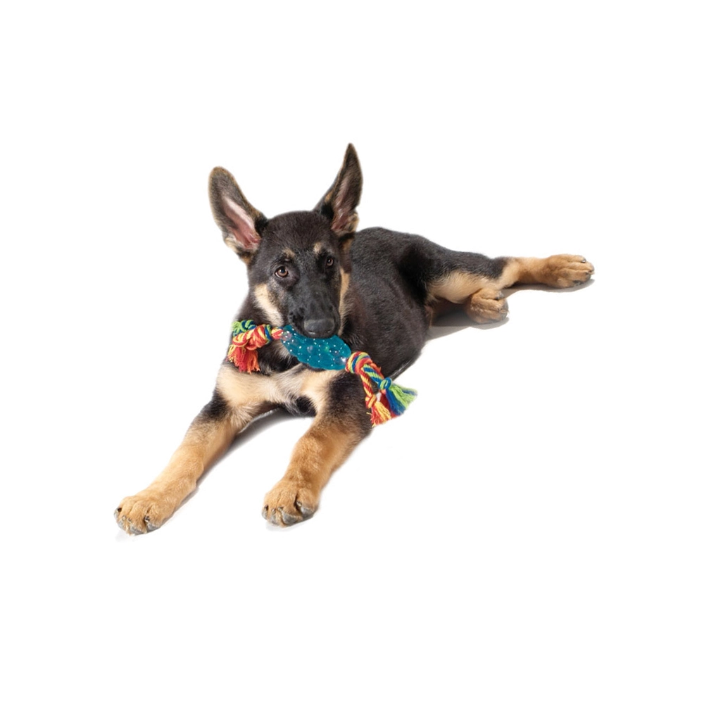 Petstages Orka Pine Cone Chew  - фото 3