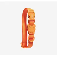 Zee.Dog Neopro Tangerine Collar