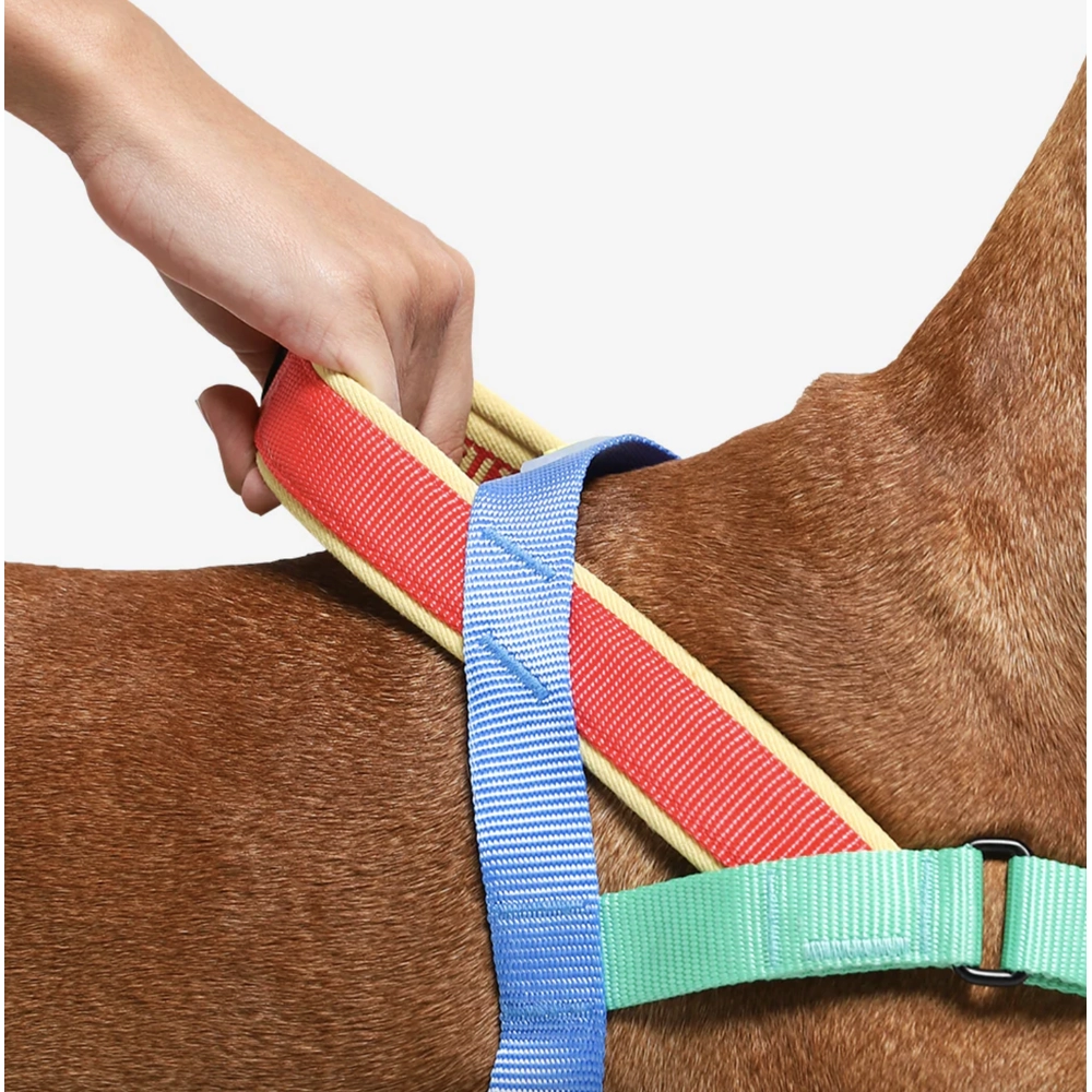 Zee.Dog Mellow SofterWalk Harness  - фото 3