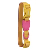 Zee.Dog Neopro Lyra Collar