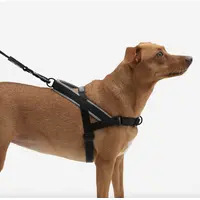 Zee.Dog Gotham SofterWalk Harness  - фото 3