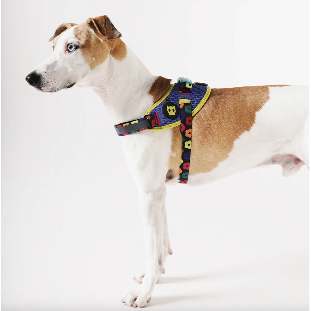 Zee.Dog Samba FlyHarness  - фото 2
