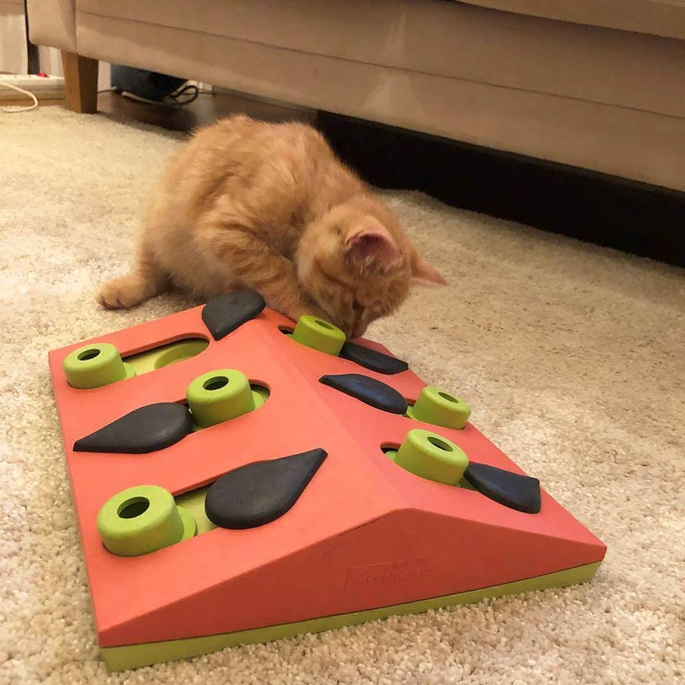 Nina Ottosson Puzzle & Play Melon Madness  - фото 4