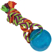 Petstages Orka Dental Puck