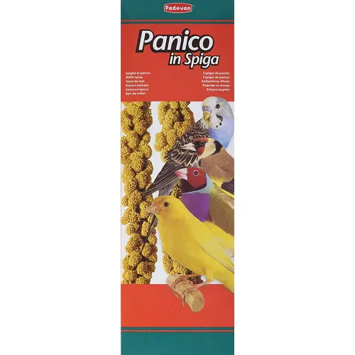 Padovan Panico in Spiga