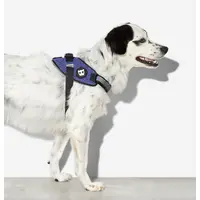 Zee.Dog Wicked FlyHarness  - фото 2