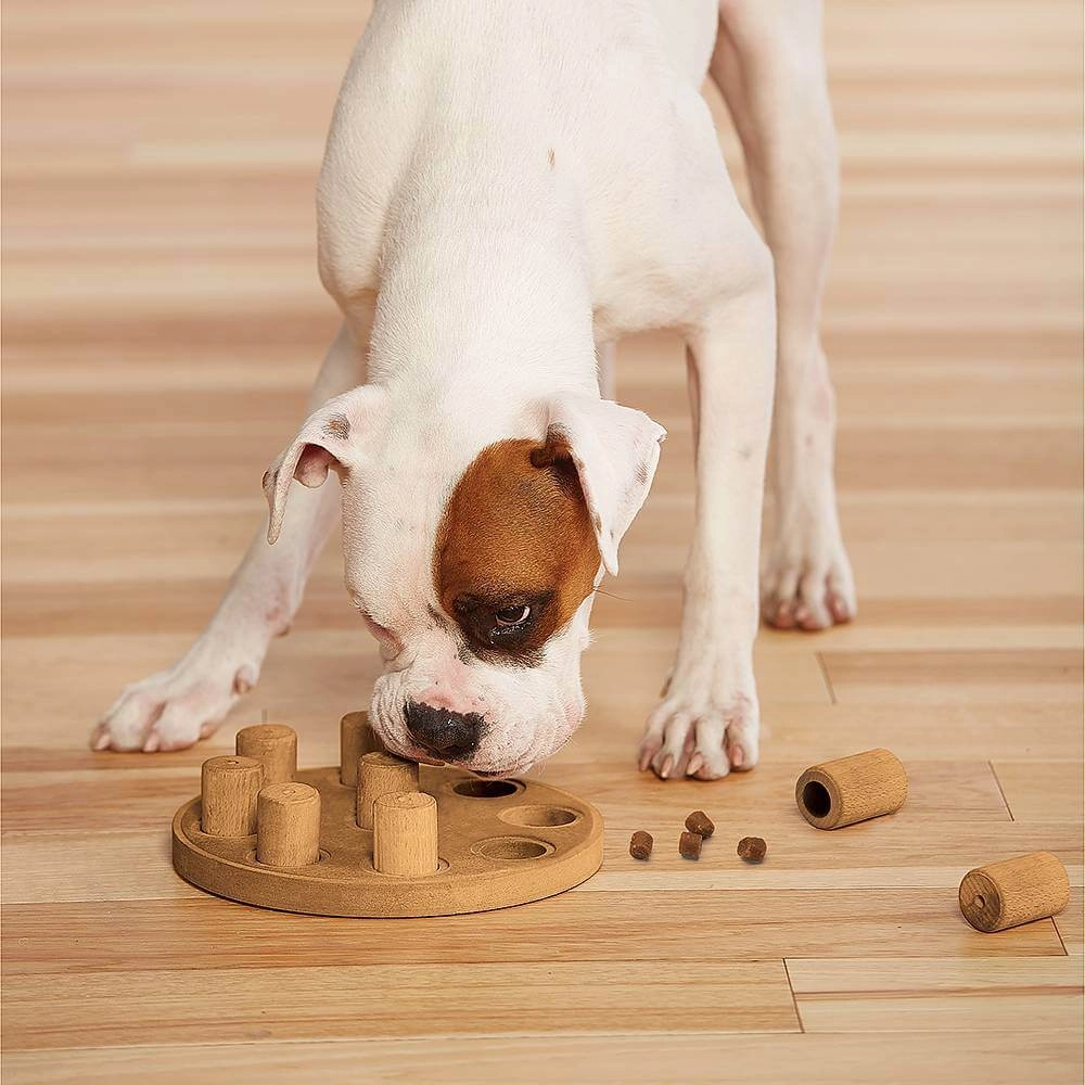 Nina Ottosson Dog Smart Composite  - фото 3