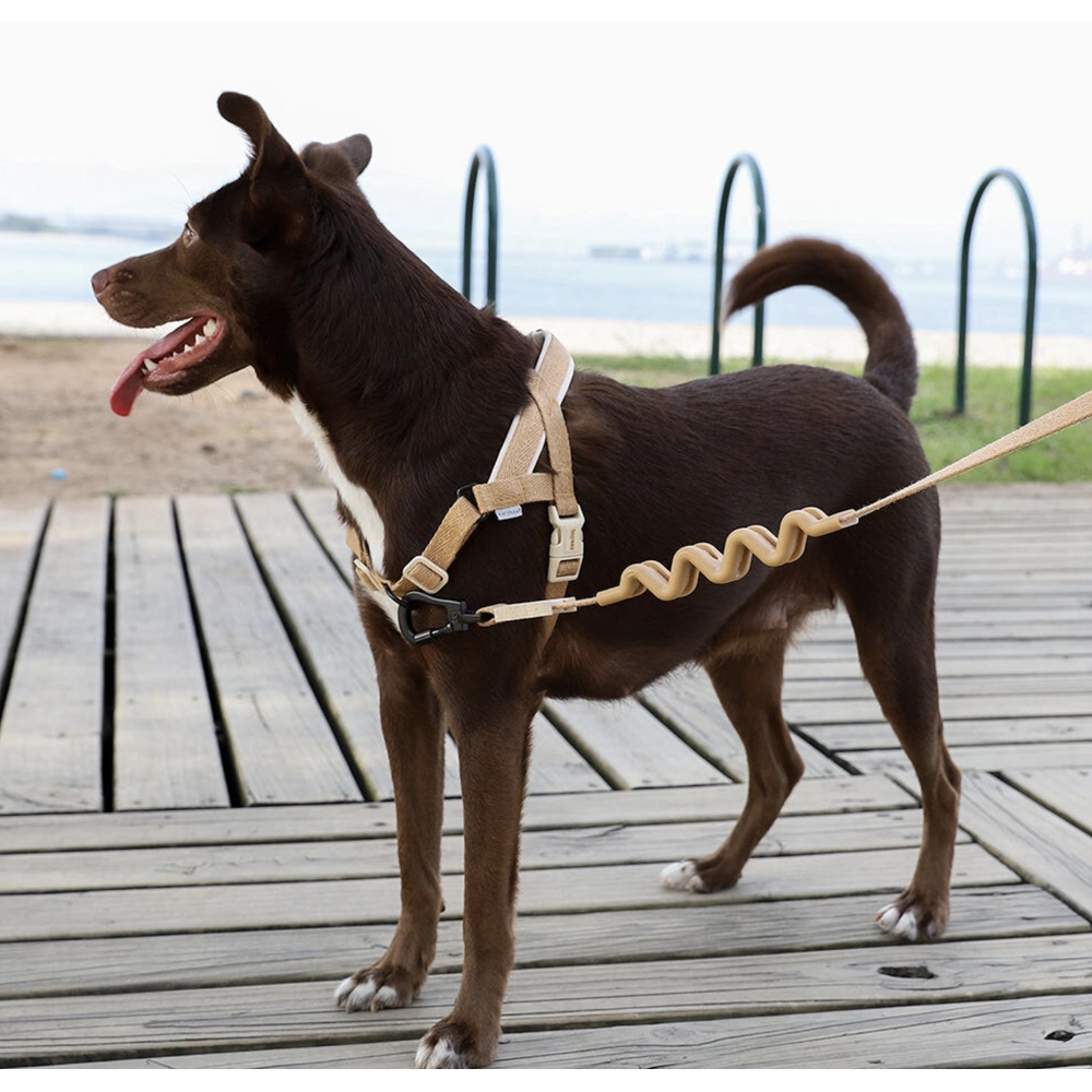 Zee.Dog Dune SofterWalk Harness  - фото 3