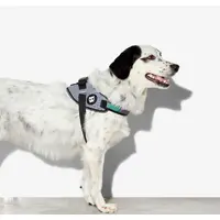 Zee.Dog Urban FlyHarness   - фото 5