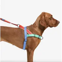 Zee.Dog Mellow SofterWalk Harness  - фото 4