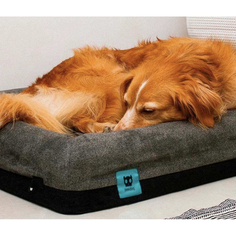 Zee.Dog Zee.Bed Skull  - фото 5