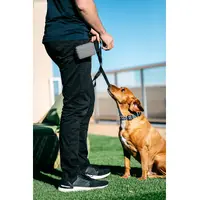 Dexas Pooch Pouch  - фото 13