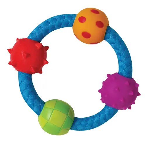 Petstages Multi Texture Chew Ring
