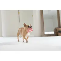 Outward Hound Accordionz Pig  - фото 2