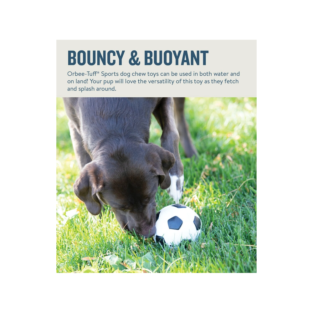 Planet Dog Soccer Ball  - фото 3