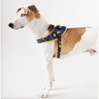 Zee.Dog Samba FlyHarness  - фото 2