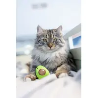 Petstages Lil Avocato  - фото 3