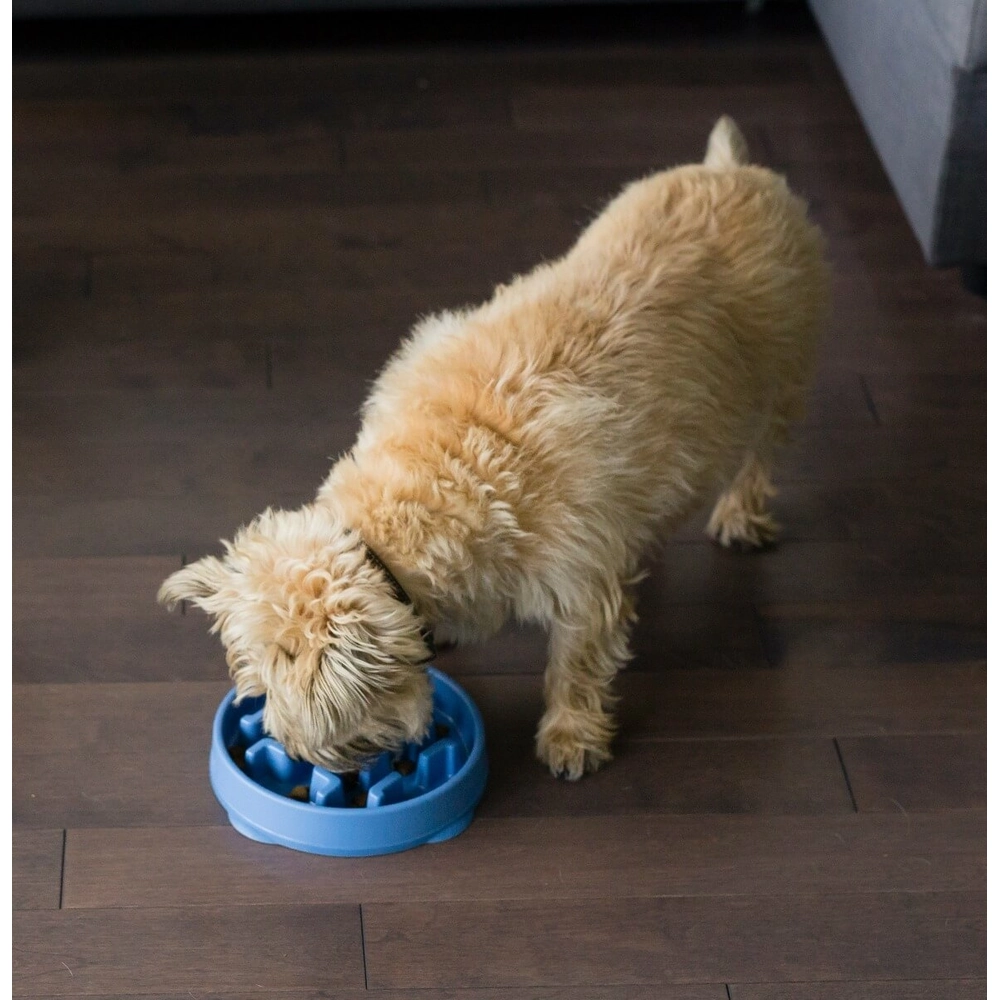 Outward Hound Fun Feeder Slo Bowl  - фото 7