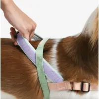 Zee.Dog Peach SofterWalk Harness  - фото 3