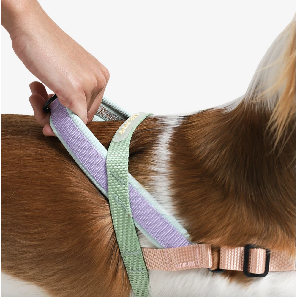 Zee.Dog Peach SofterWalk Harness  - фото 3