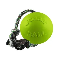 Jolly Pets Romp-n-Roll