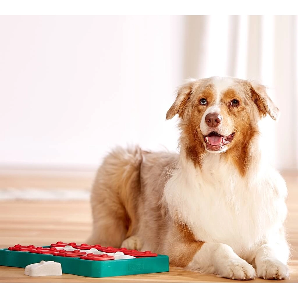Nina Ottosson Dog Brick  - фото 3