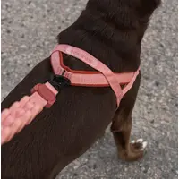 Zee.Dog Canyon SofterWalk Harness  - фото 3