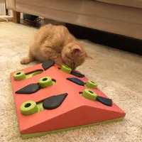 Nina Ottosson Puzzle & Play Melon Madness  - фото 4