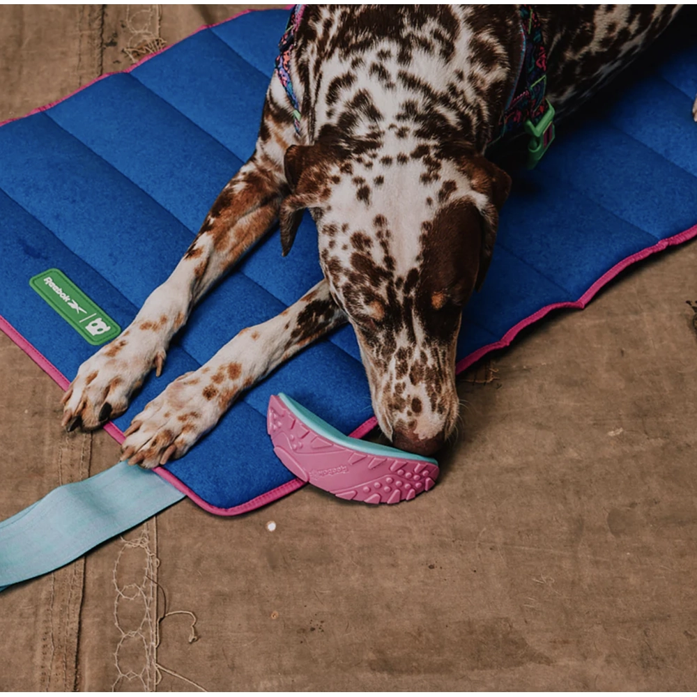 Zee.Dog Reebok Boomerang  - фото 4