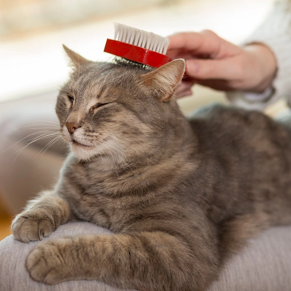 Vet's Best Waterless Cat Bath  - фото 3